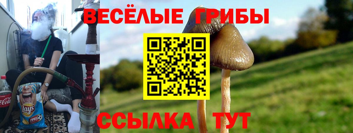 Псилоцибиновые грибы мицелий  Вход с VPN  Назарово 